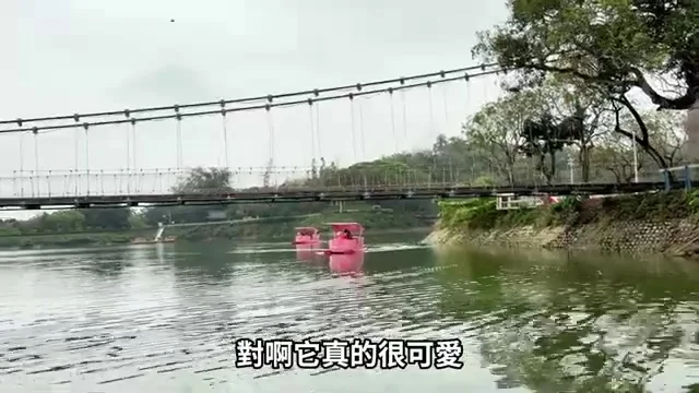 阿波搭乘粉紅色天鵝船遊湖