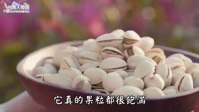 木碗中盛滿去殼的開心果仁，顆粒飽滿完整，色澤淡綠帶米白