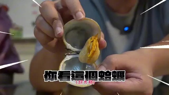 阿波展示岩鄉風味餐裡個頭碩大的現撈蛤蜊