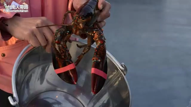 店員手持現撈龍蝦準備下鍋烹煮,是手抓海鮮桶裡加碼的重頭戲