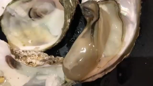 剝開的生蠔特寫,蠔肉飽滿呈現半透明光澤,殼內側可見天然紋理